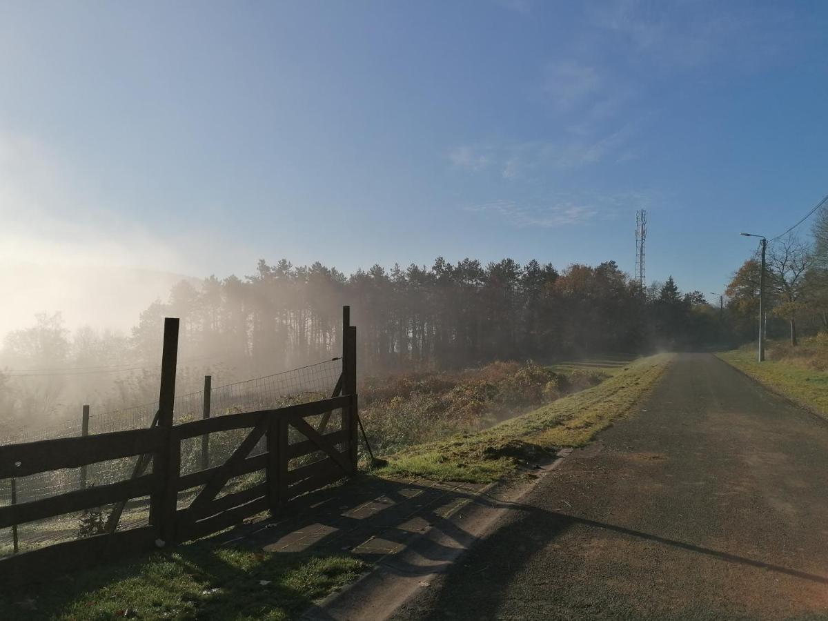 Au Repos De Zoe Villa Waulsort Bagian luar foto