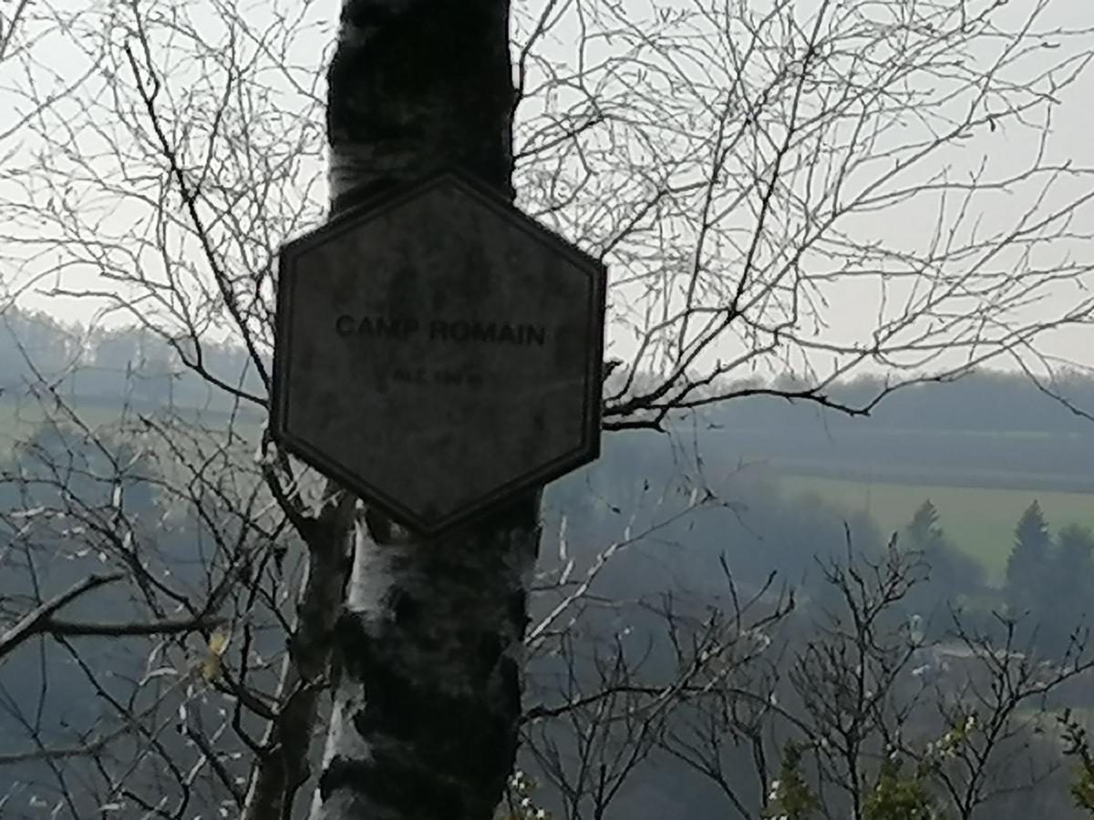 Au Repos De Zoe Villa Waulsort Bagian luar foto