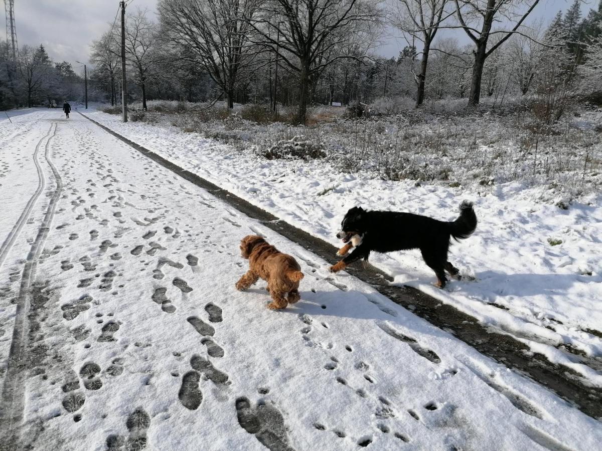Au Repos De Zoe Villa Waulsort Bagian luar foto